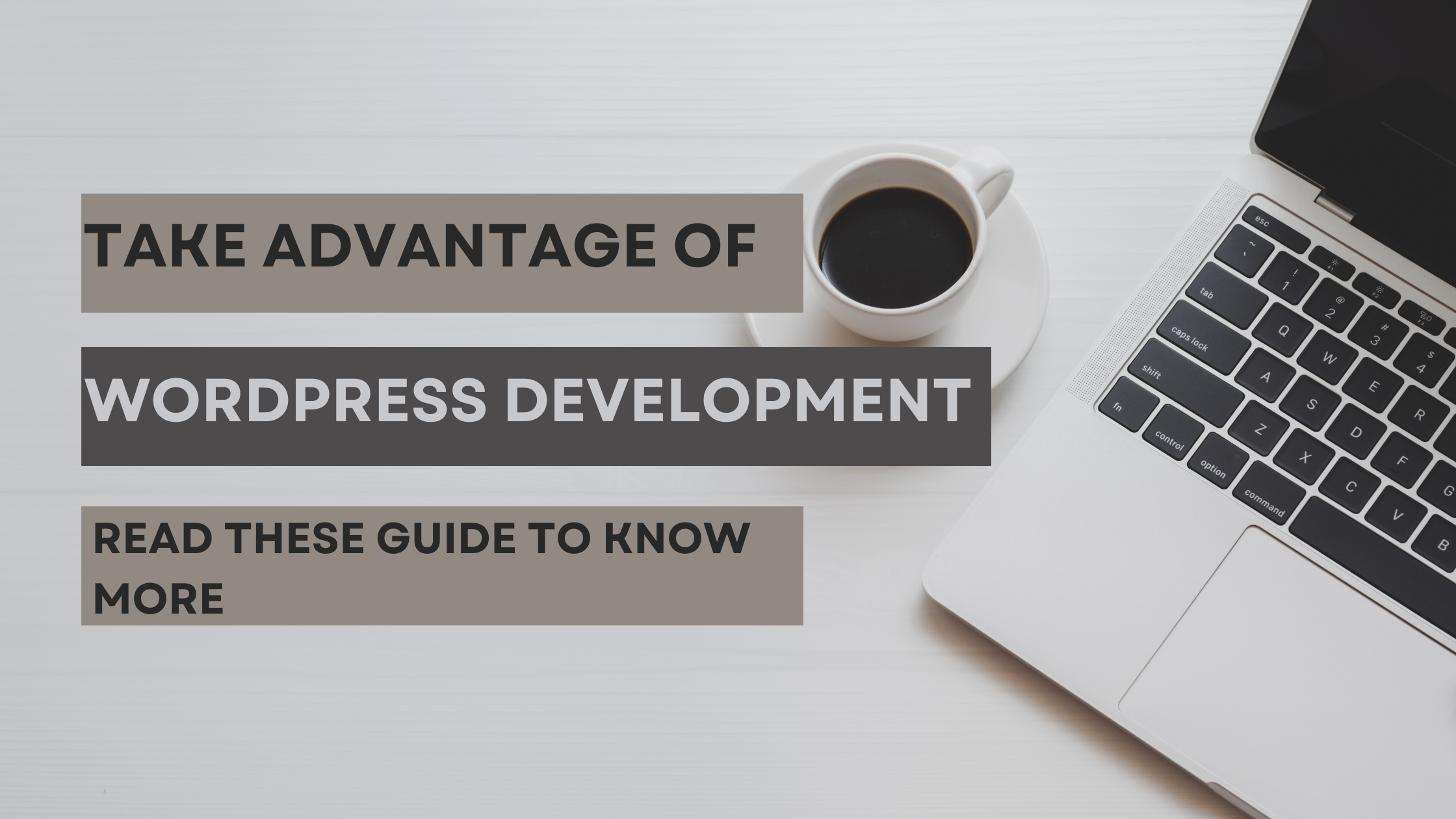 WordPress Website Development